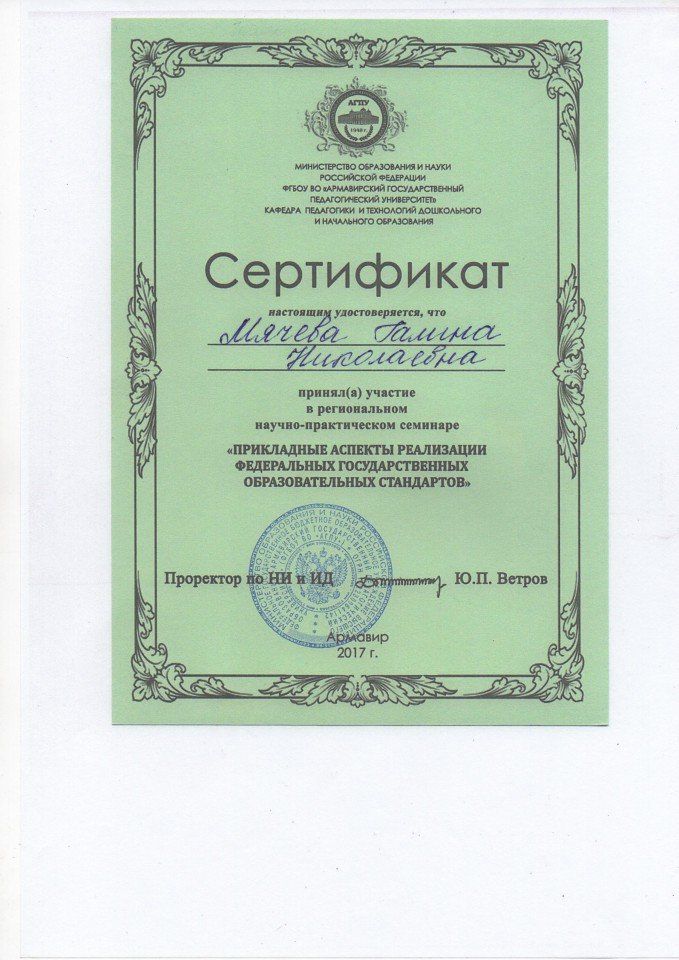Сертификат участника регионального научно-практического семинара 2017г.